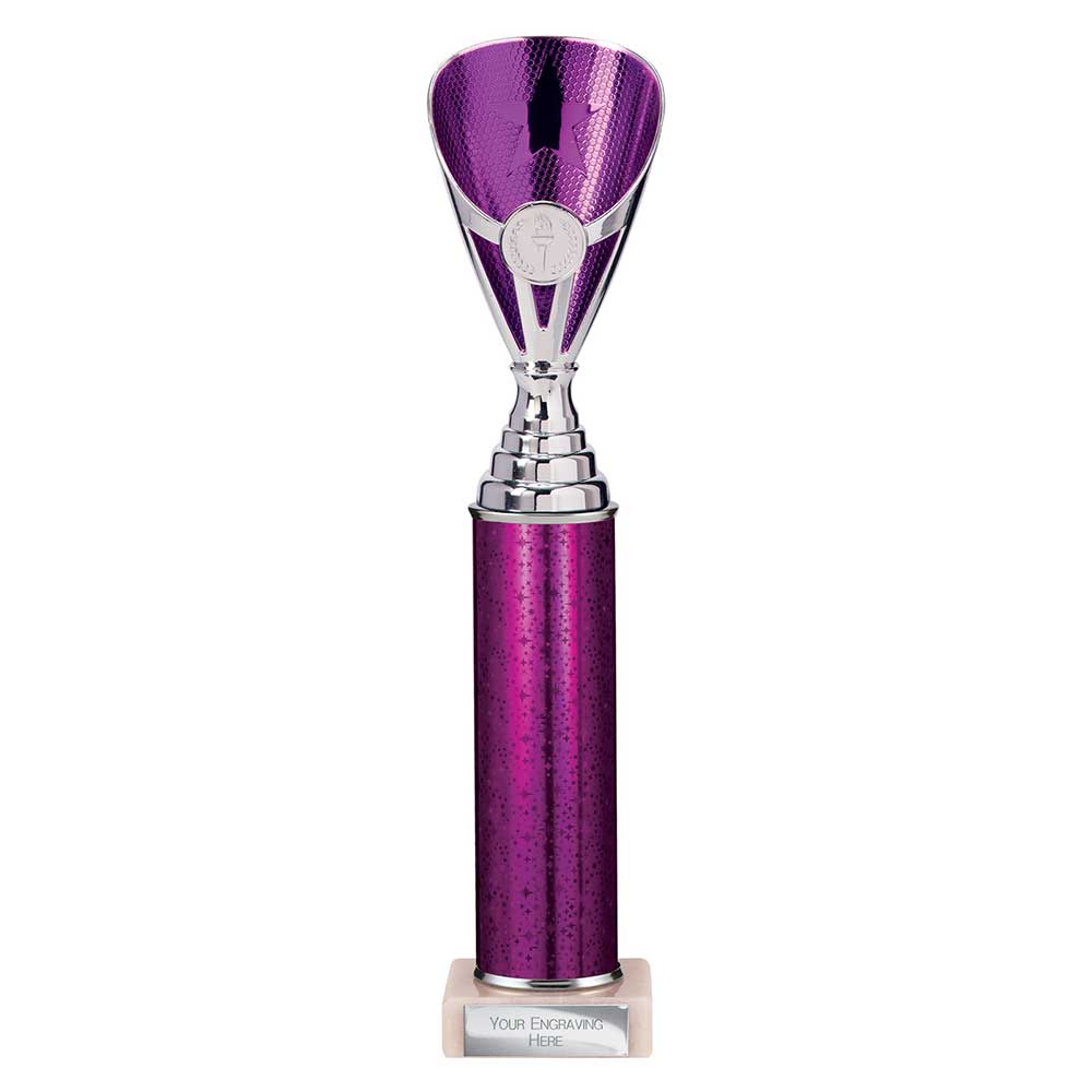Rising Stars Plastic Trophy Purple