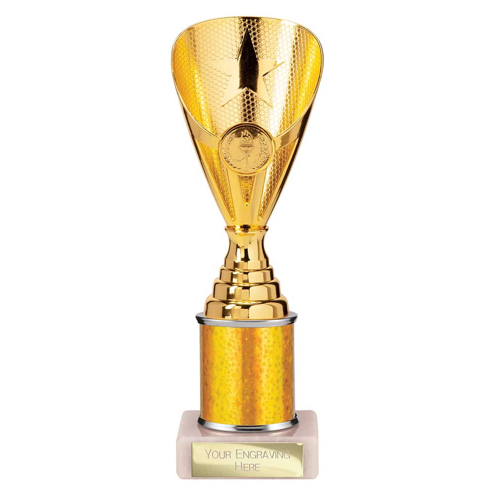 Rising Stars Plastic Trophy Gold