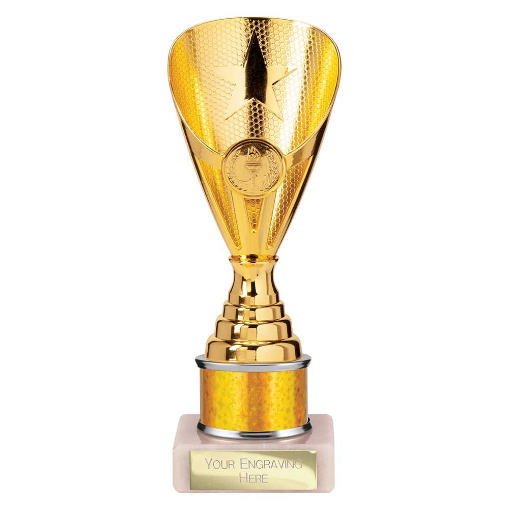 Rising Stars Plastic Trophy Gold