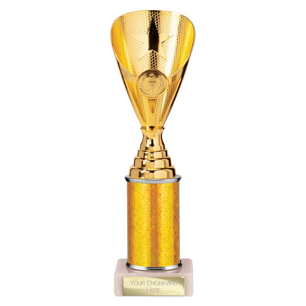 Rising Stars Plastic Trophy Gold