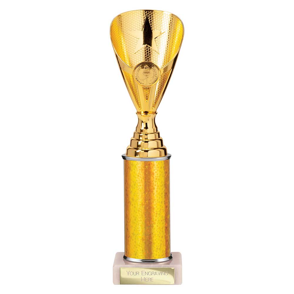 Rising Stars Plastic Trophy Gold