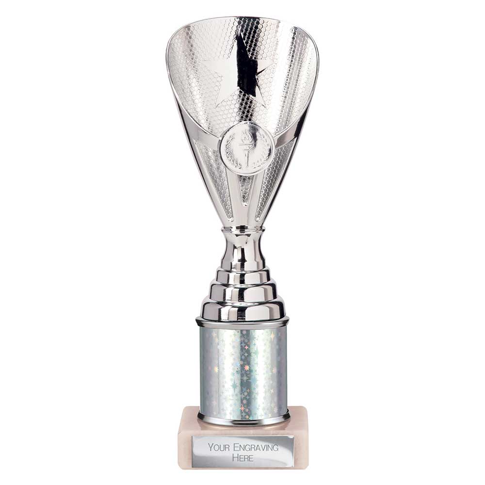 Rising Stars Plastic Trophy Silver