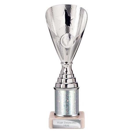 Rising Stars Plastic Trophy Silver
