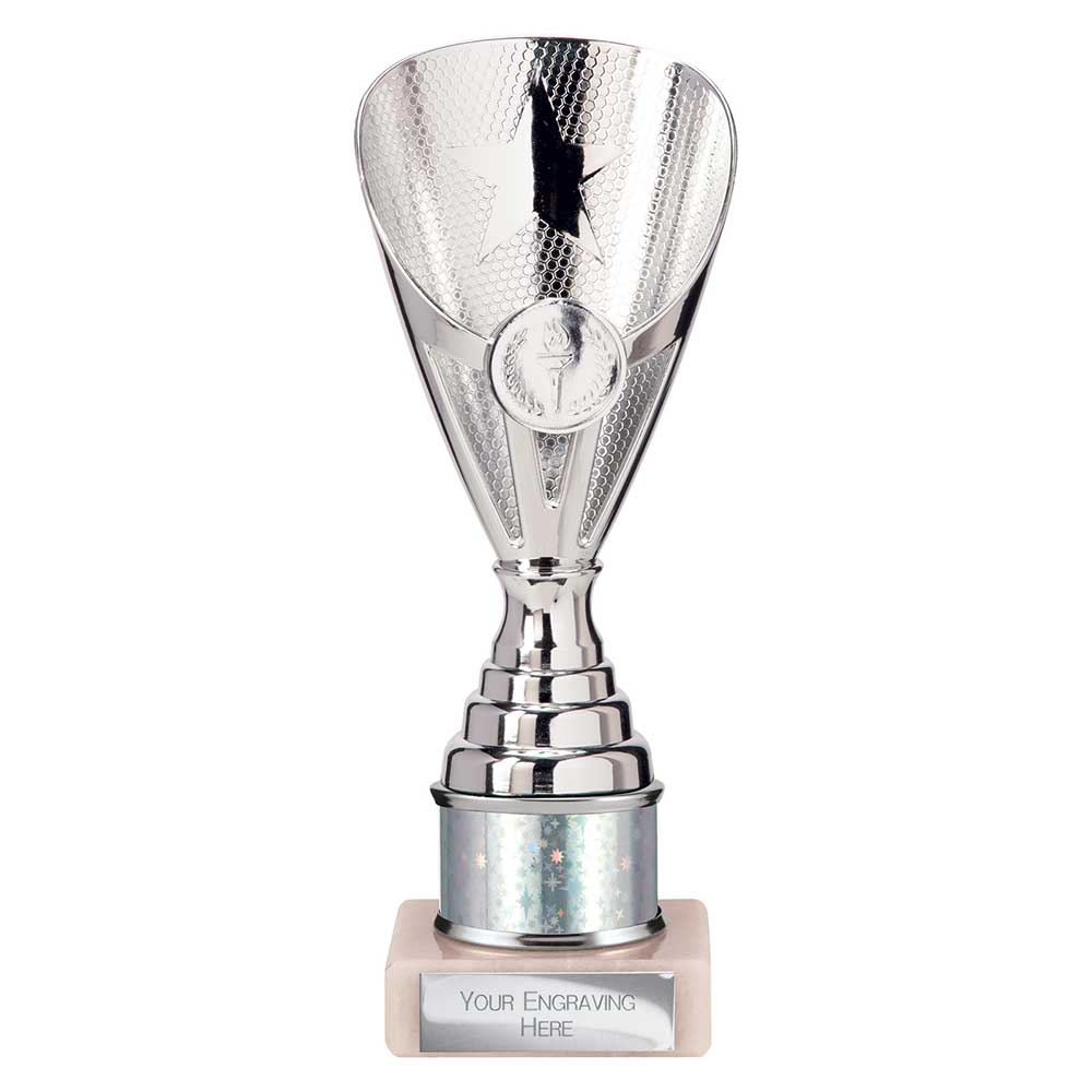 Rising Stars Plastic Trophy Silver