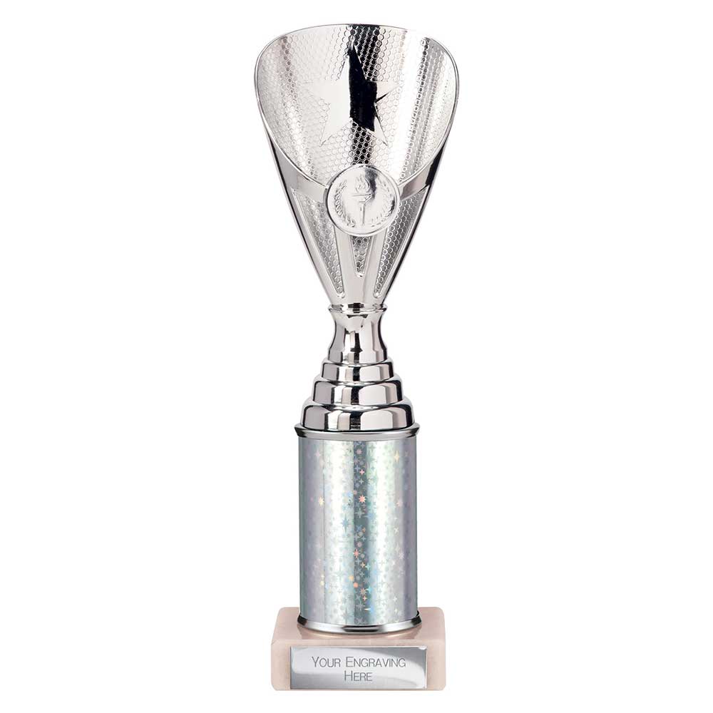 Rising Stars Plastic Trophy Silver