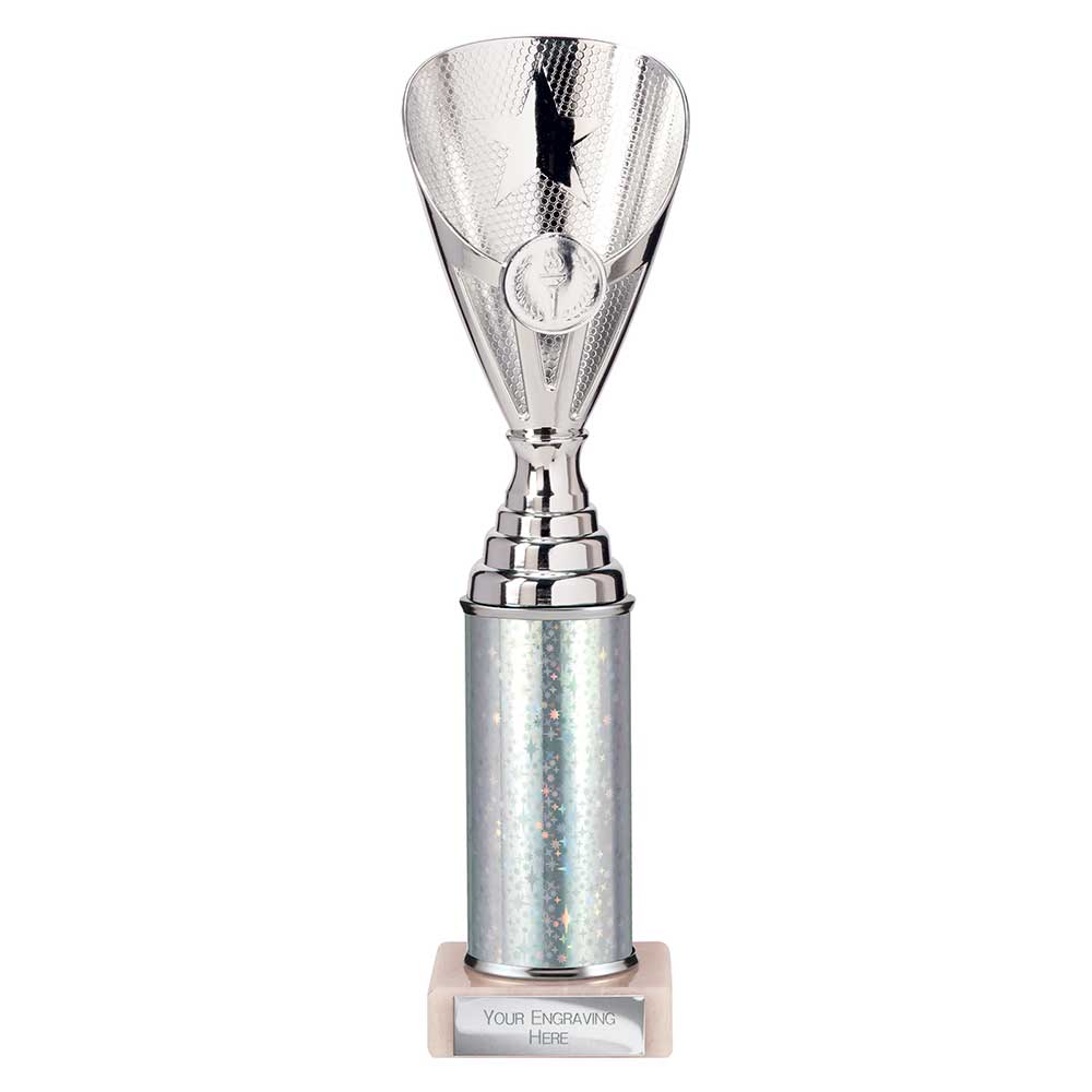 Rising Stars Plastic Trophy Silver
