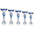 Omega Cup Silver & Blue - Trophies - Prudhoe Rosettes