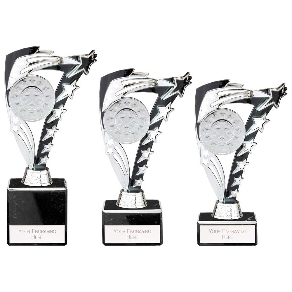 Frenzy Multisport Trophy Silver & Black - Trophies - Prudhoe Rosettes