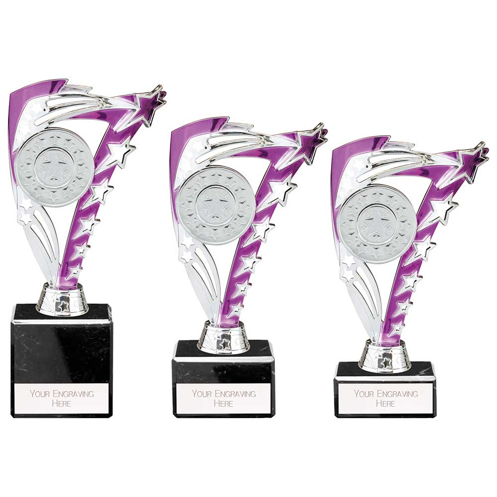 Frenzy Multisport Trophy Silver & Purple - Trophies - Prudhoe Rosettes