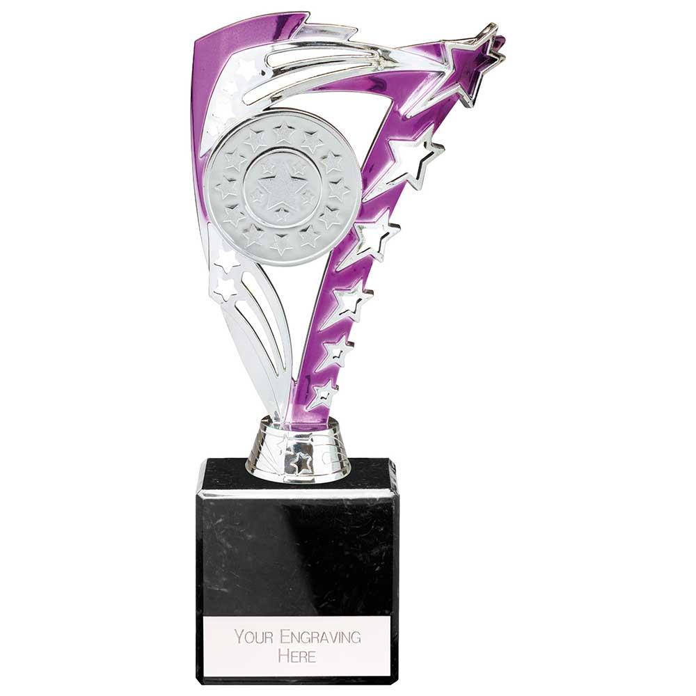 Frenzy Multisport Trophy Silver & Purple