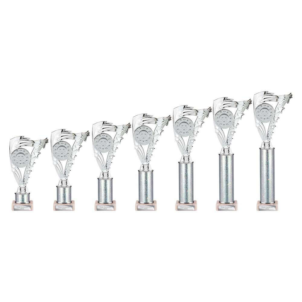 Frenzy Multisport Tube Trophy Silver - Trophies - Prudhoe Rosettes