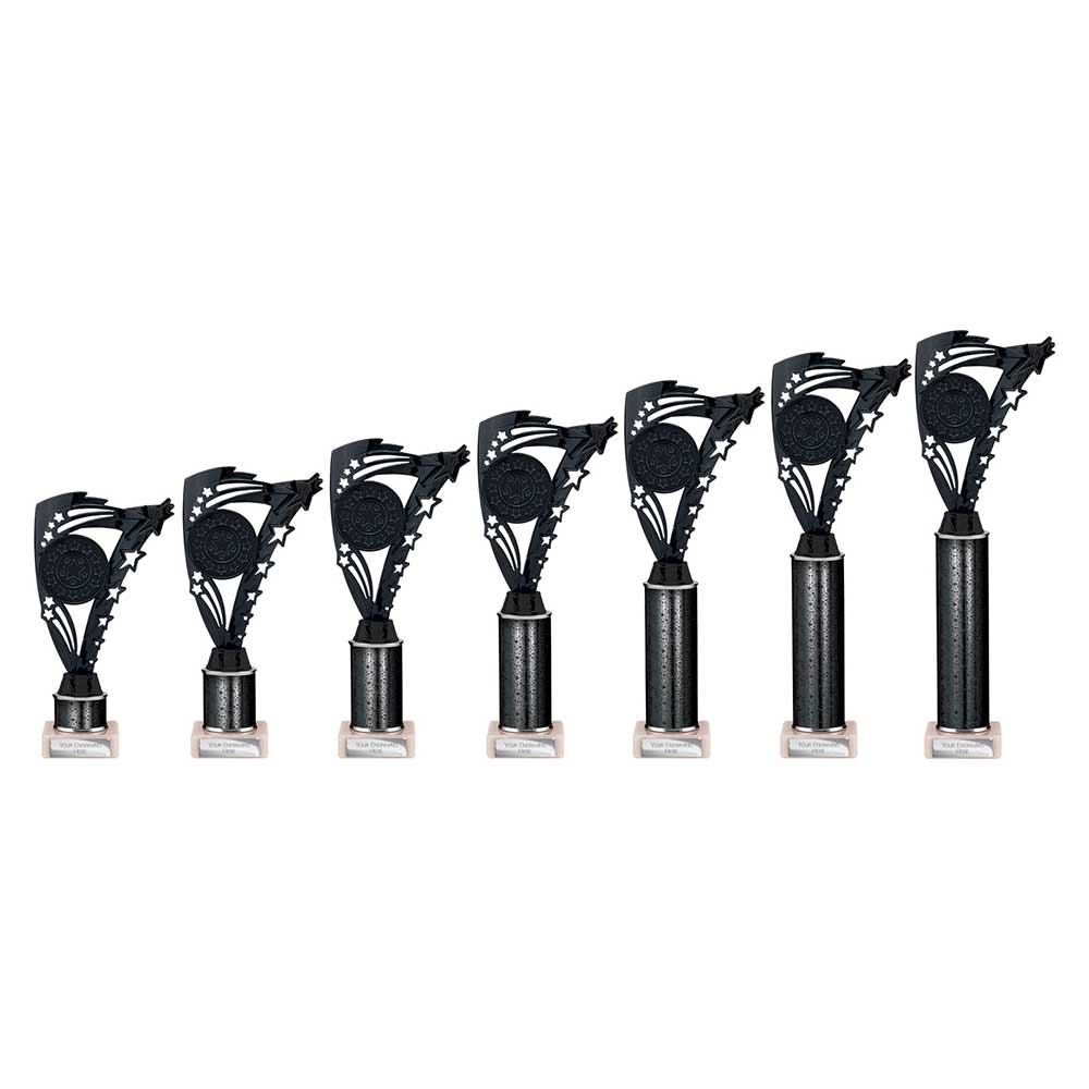 Frenzy Multisport Tube Trophy Black - Trophies - Prudhoe Rosettes