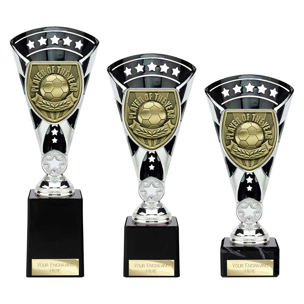 Cobra Star Cup Player of Year - Trophies - Prudhoe Rosettes