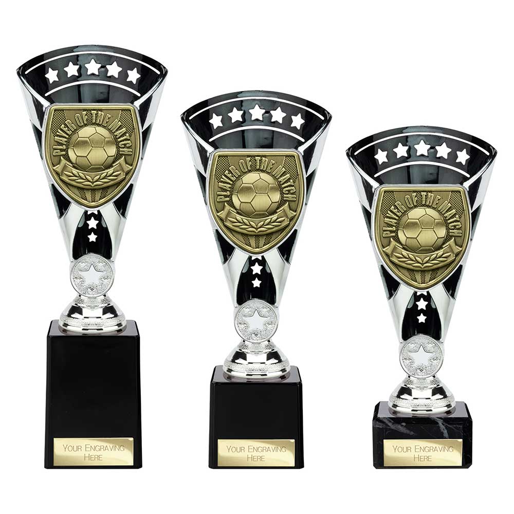 Cobra Star Cup Player of Match - Trophies - Prudhoe Rosettes