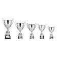 Trojan Cup Silver - Trophies - Prudhoe Rosettes