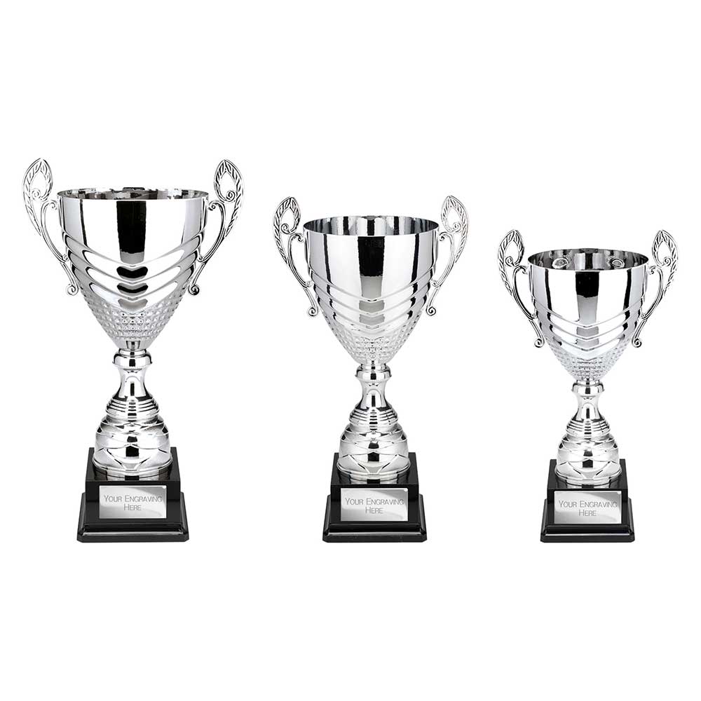 Endurance Super Cup Silver - Trophies - Prudhoe Rosettes