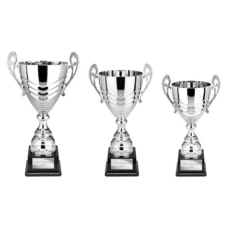 Endurance Super Cup Silver - Trophies - Prudhoe Rosettes