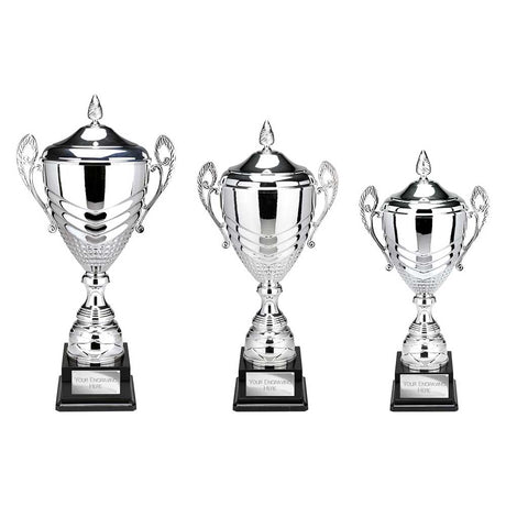 Endurance Super Cup & Lid Silver - Trophies - Prudhoe Rosettes