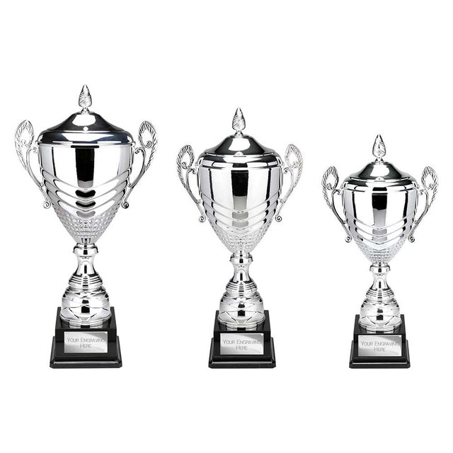 Endurance Super Cup & Lid Silver - Trophies - Prudhoe Rosettes