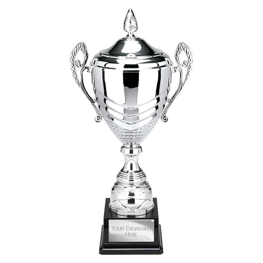 Endurance Super Cup & Lid Silver