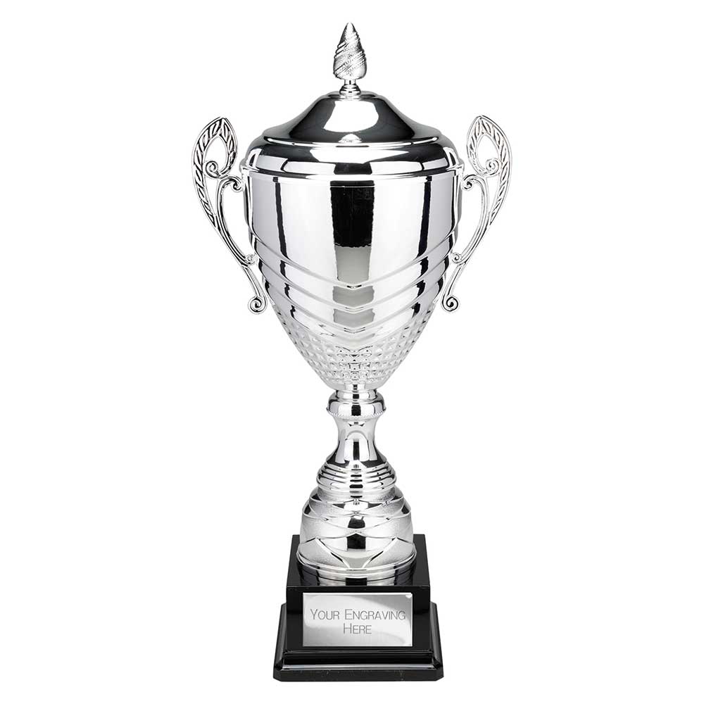 Endurance Super Cup & Lid Silver