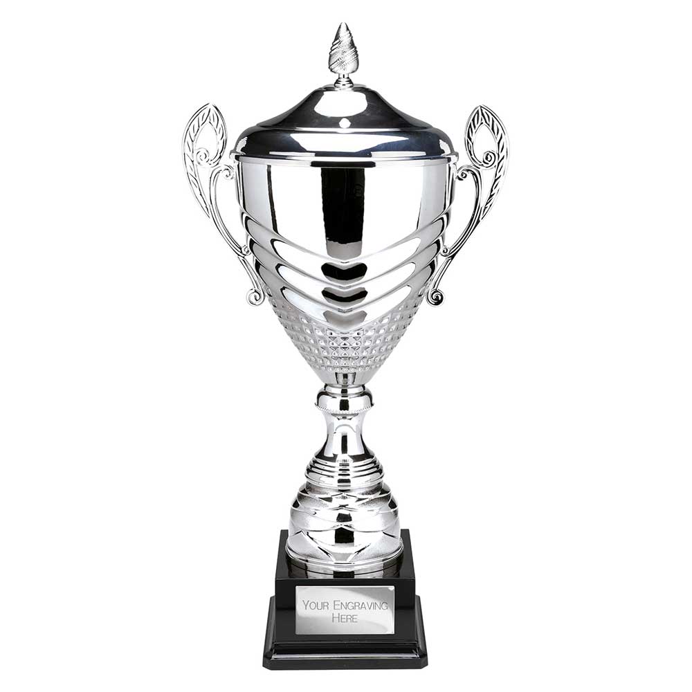 Endurance Super Cup & Lid Silver