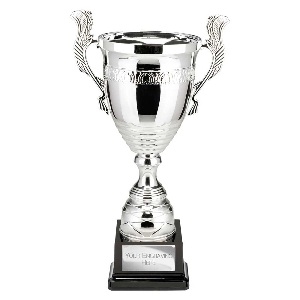 Endeavour Super Cup Silver