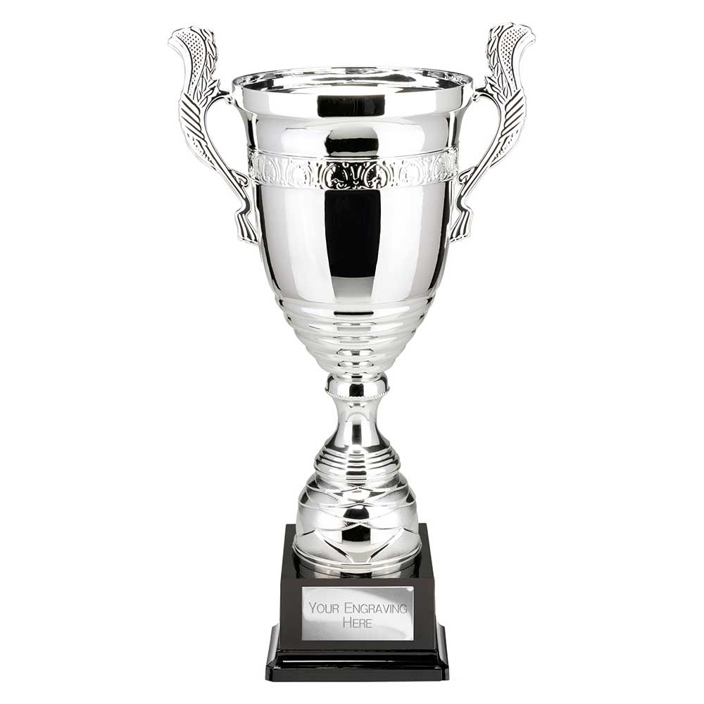 Endeavour Super Cup Silver