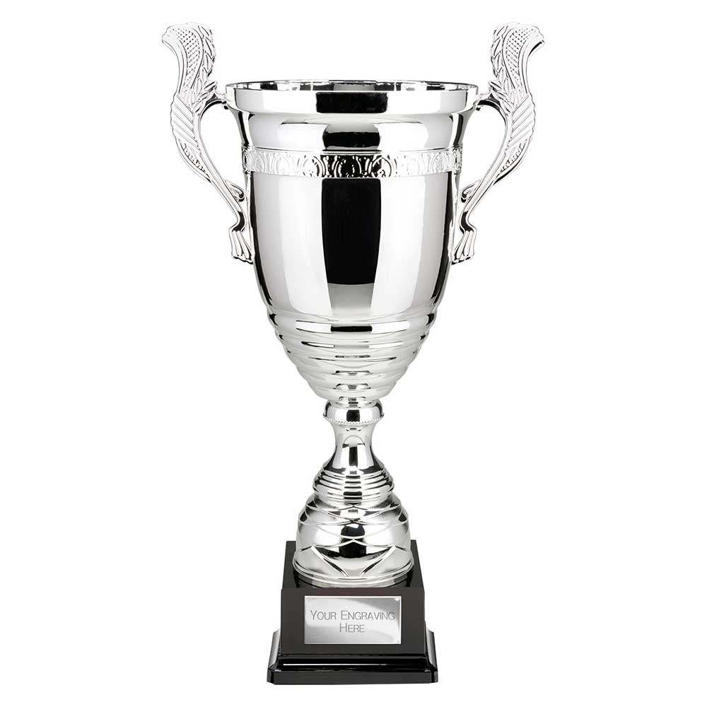 Endeavour Super Cup Silver