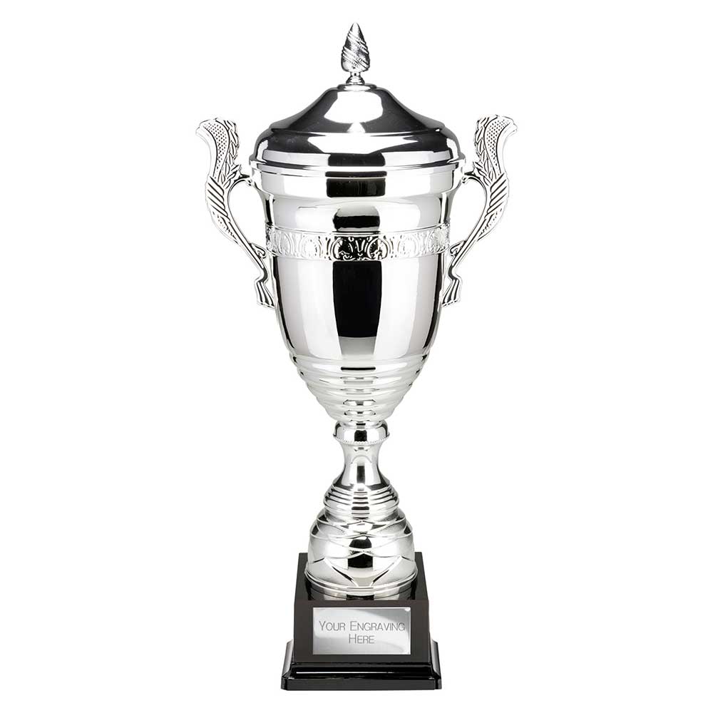 Endeavour Super Cup & Lid Silver