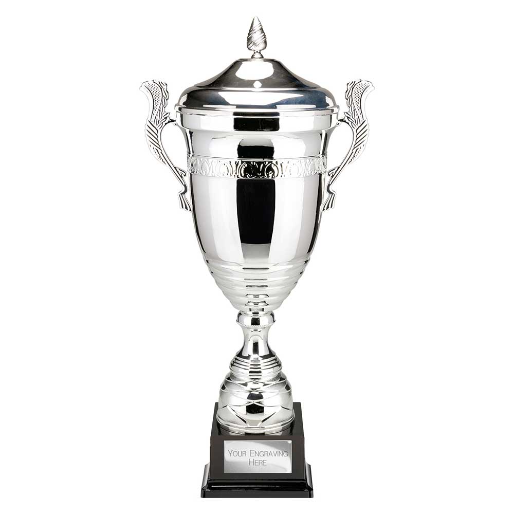 Endeavour Super Cup & Lid Silver