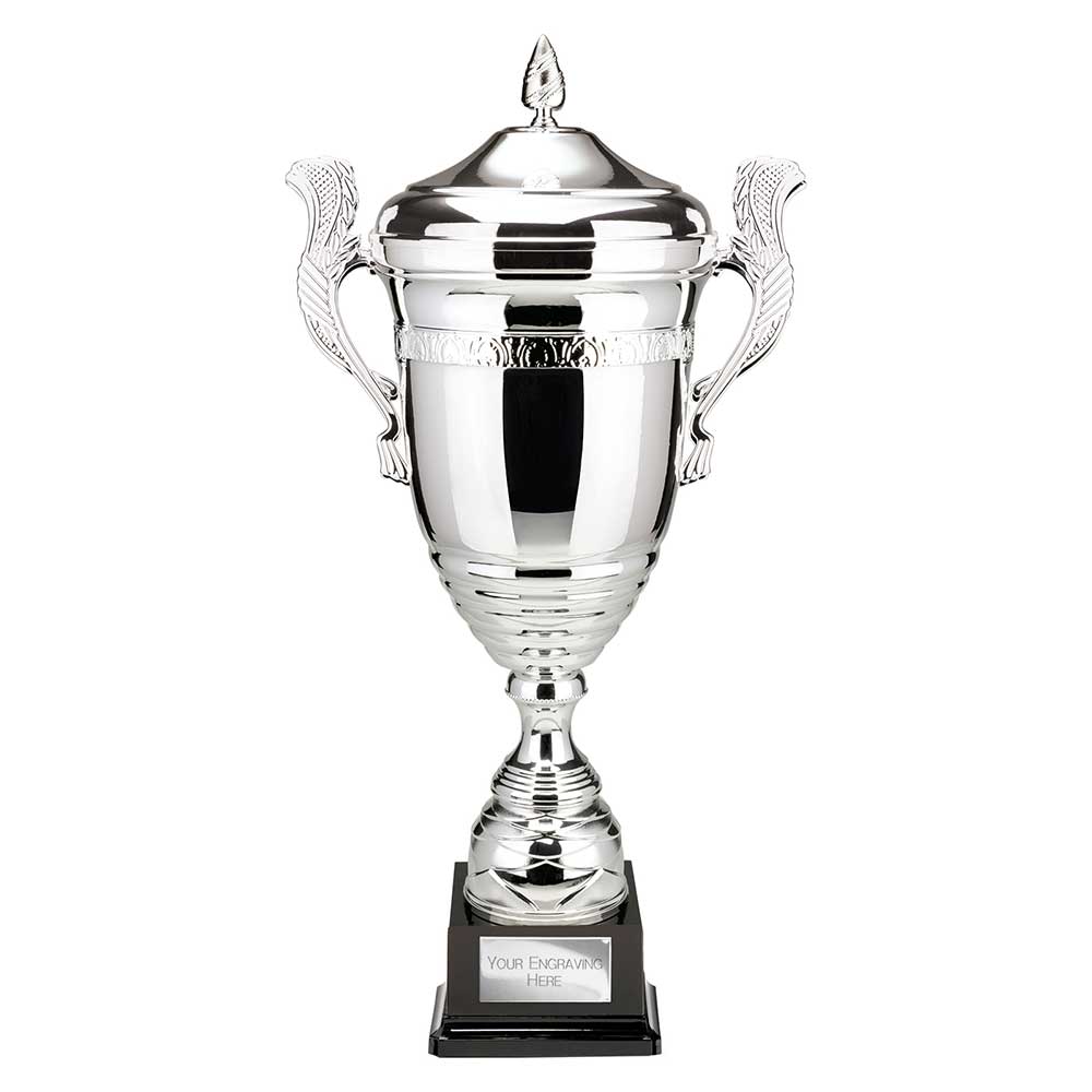 Endeavour Super Cup & Lid Silver