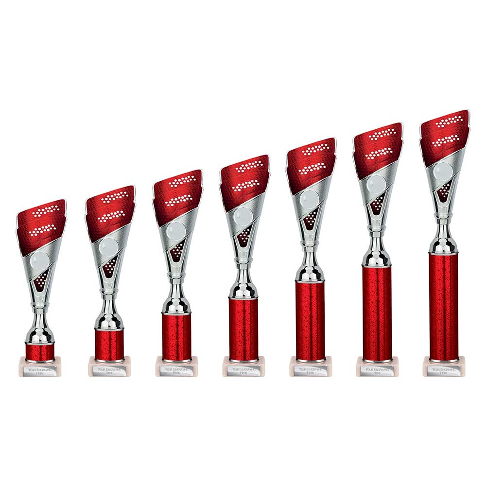 Predator Multisport Tube Trophy Silver - Trophies - Prudhoe Rosettes