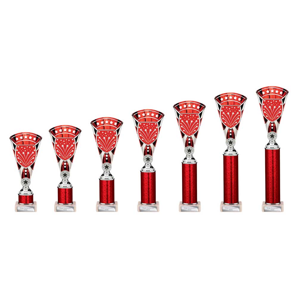 Cobra Star Multisport Tube Trophy Silver & Red - Trophies - Prudhoe Rosettes