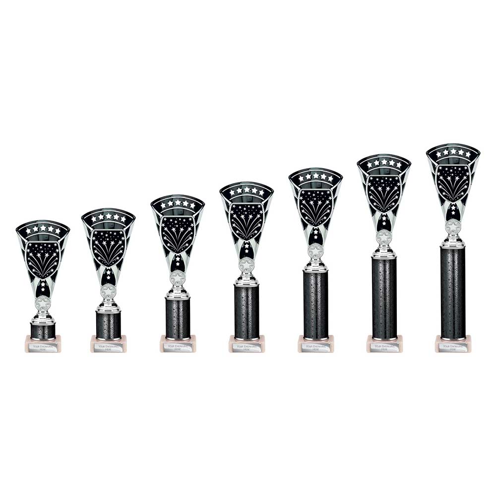 Cobra Star Multisport Tube Trophy Silver & Black - Trophies - Prudhoe Rosettes