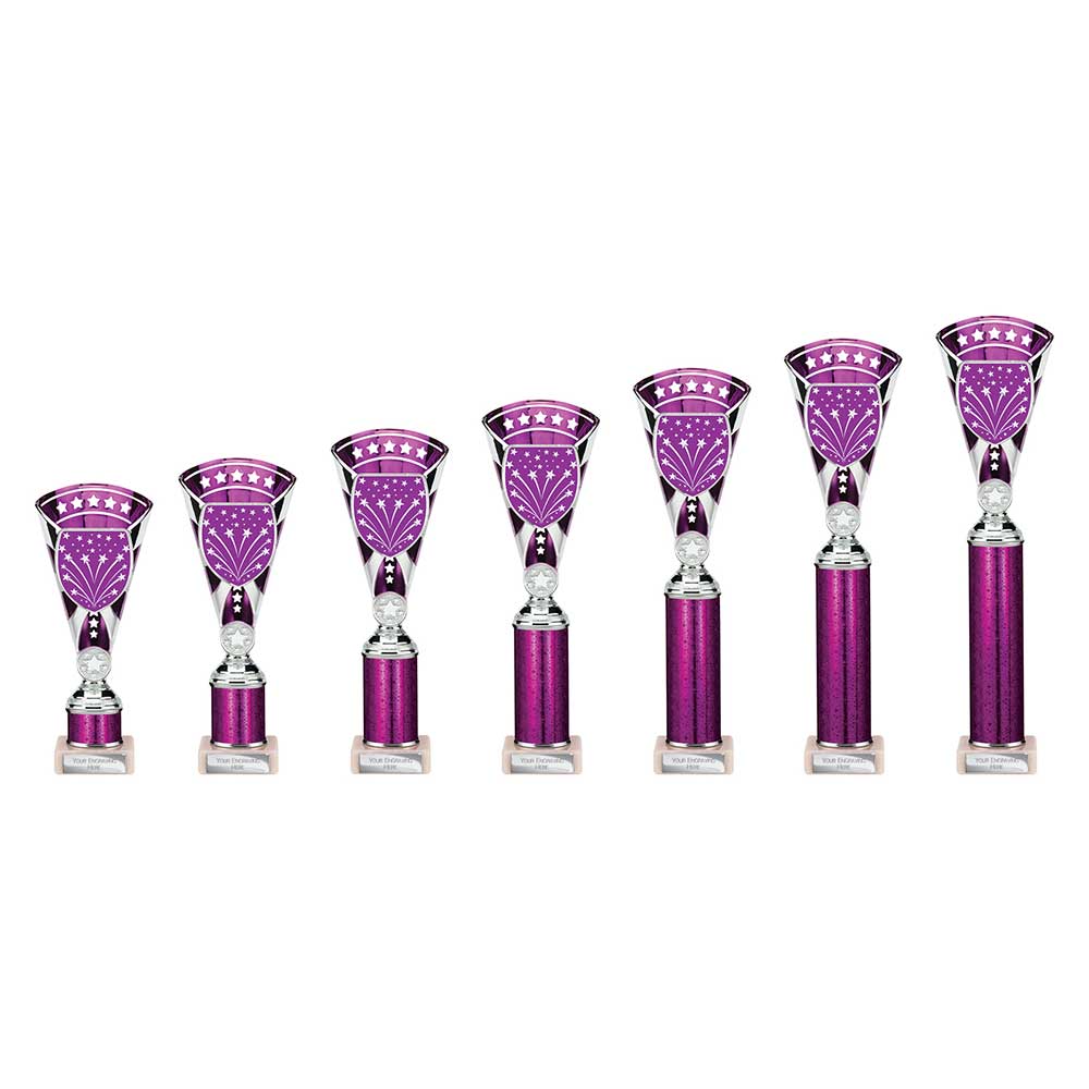 Cobra Star Multisport Tube Trophy Silver & Purple - Trophies - Prudhoe Rosettes
