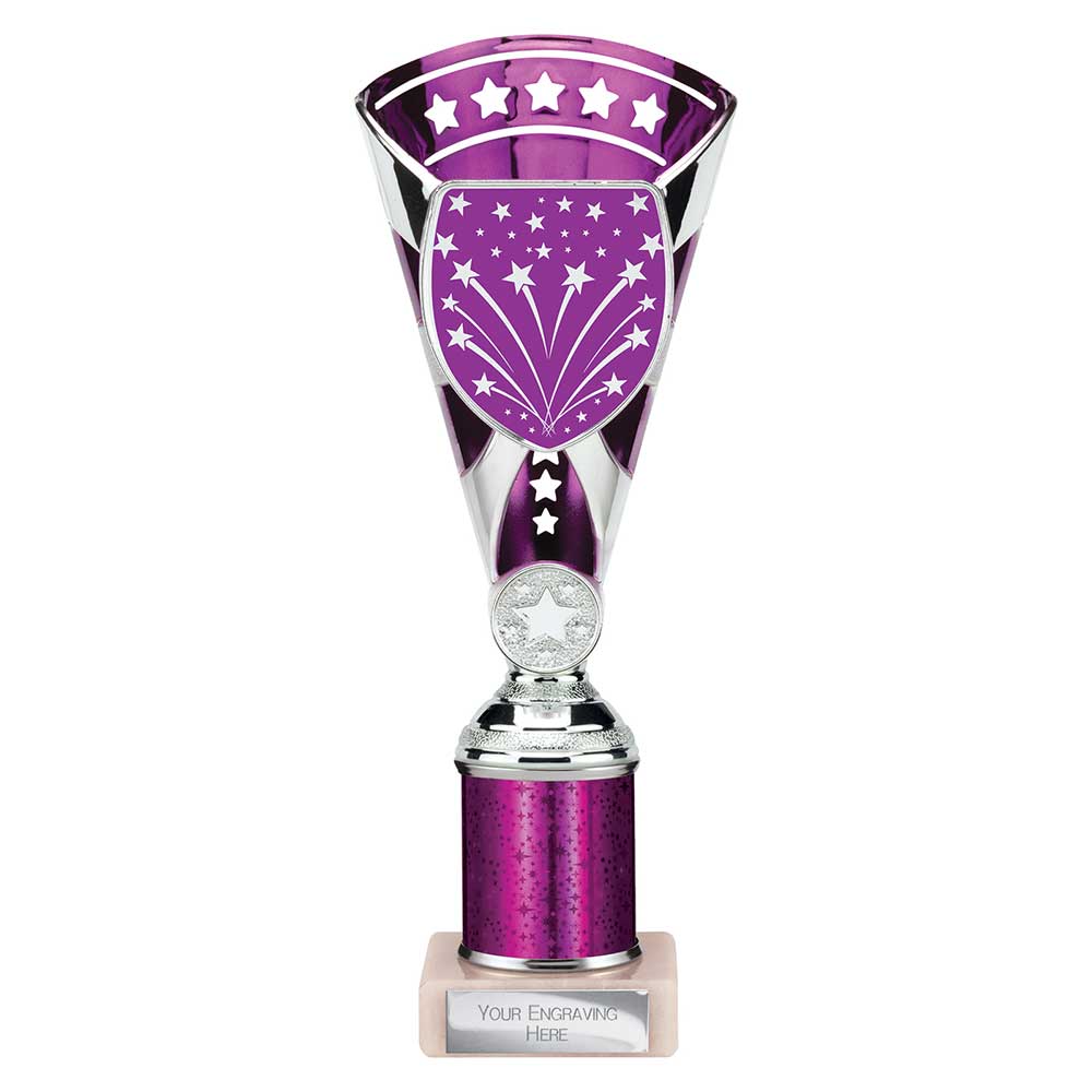 Cobra Star Multisport Tube Trophy Silver & Purple
