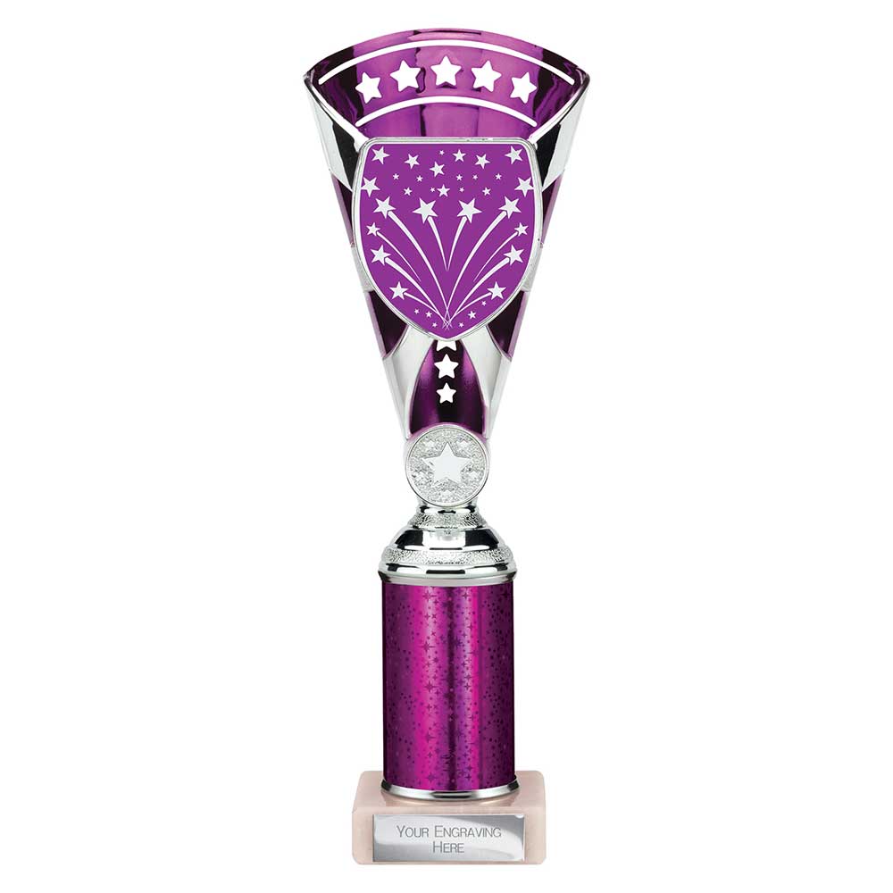Cobra Star Multisport Tube Trophy Silver & Purple