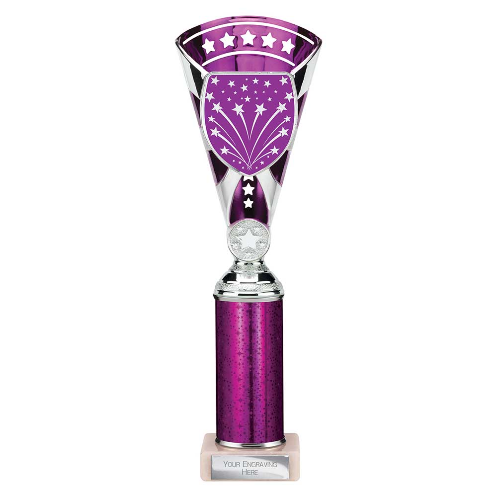 Cobra Star Multisport Tube Trophy Silver & Purple