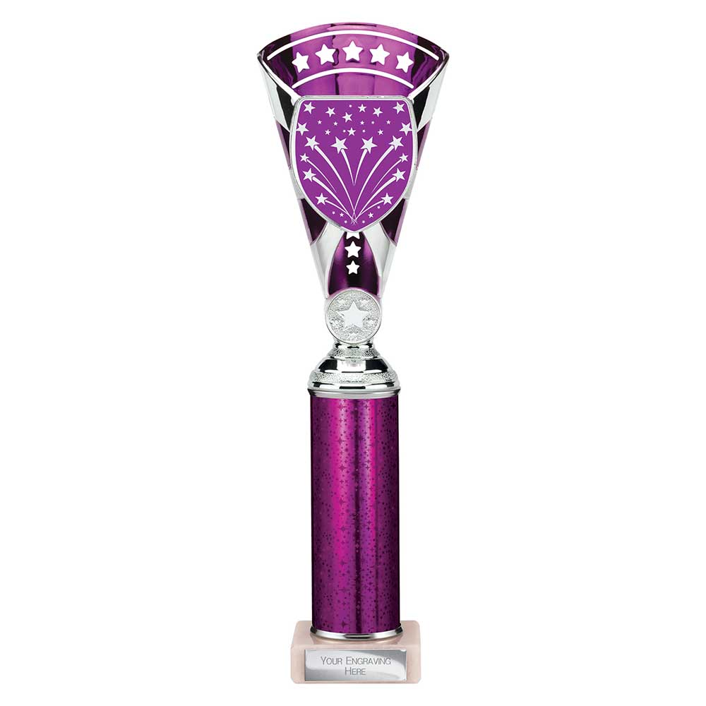 Cobra Star Multisport Tube Trophy Silver & Purple