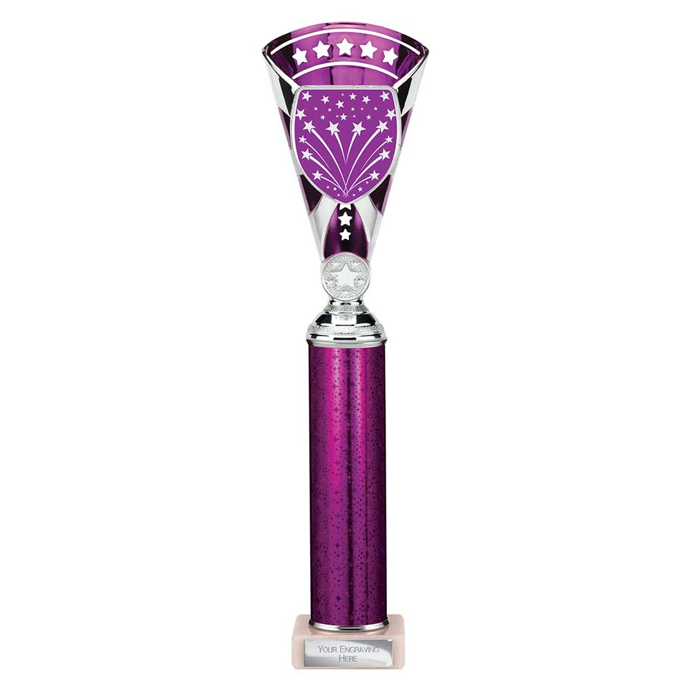 Cobra Star Multisport Tube Trophy Silver & Purple