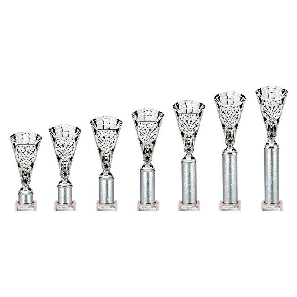 Cobra Star Multisport Tube Trophy Silver - Trophies - Prudhoe Rosettes