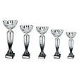 Eruption Silver Cup - Trophies - Prudhoe Rosettes