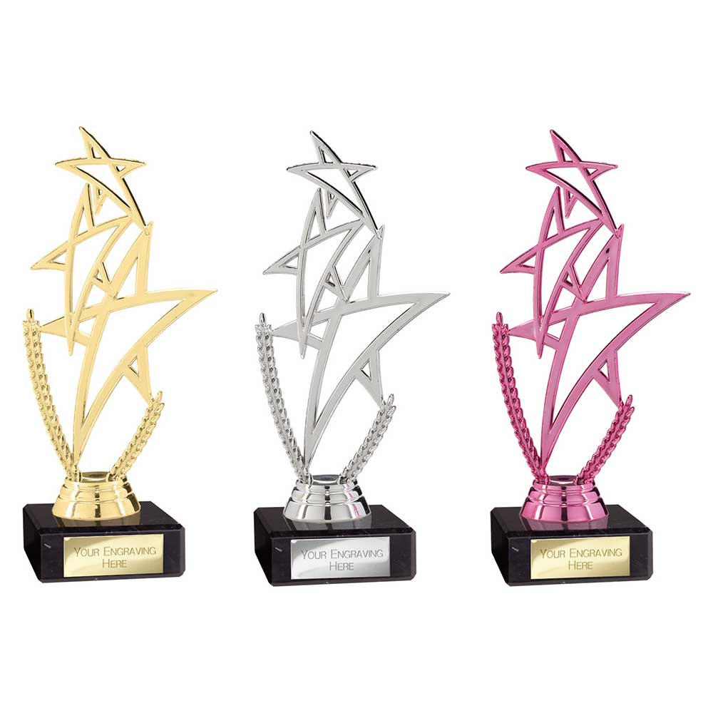 Rising Star Multisport Trophy (Three Colour Options)