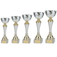 Everest Silver & Gold Cup - Trophies - Prudhoe Rosettes