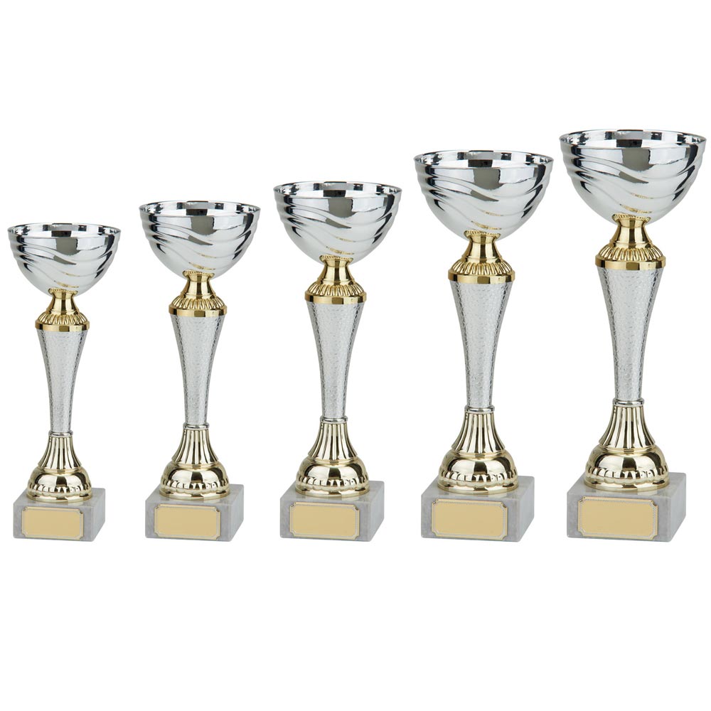 Everest Silver & Gold Cup - Trophies - Prudhoe Rosettes