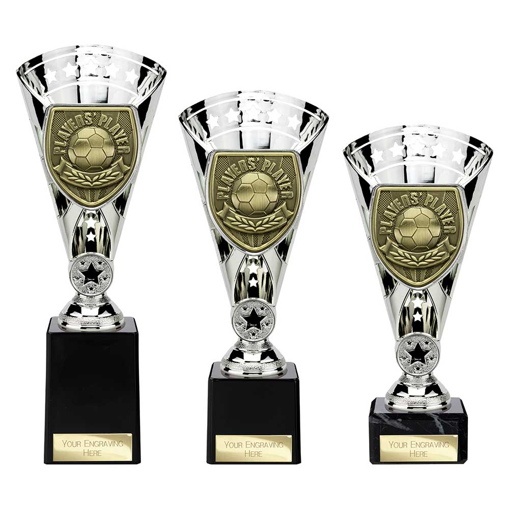 Cobra Star Cup Players Player - Trophies - Prudhoe Rosettes