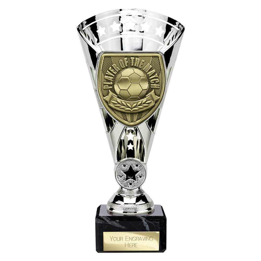 Cobra Star Cup Player of Match