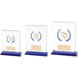 Gladiator Pool Snooker Glass Award - Trophies - Prudhoe Rosettes