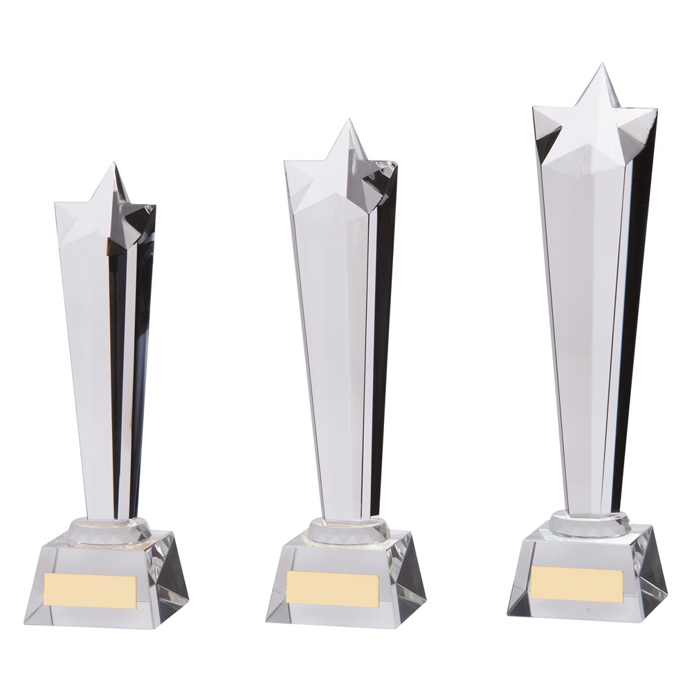Seattle Star Crystal Award - Trophies - Prudhoe Rosettes